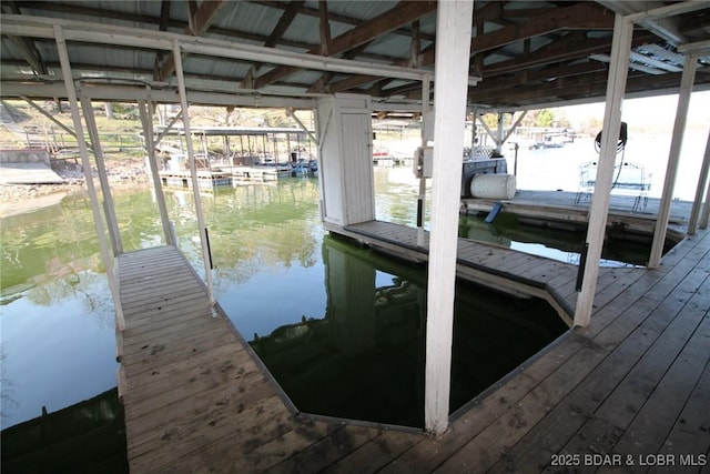 dock area with a water view