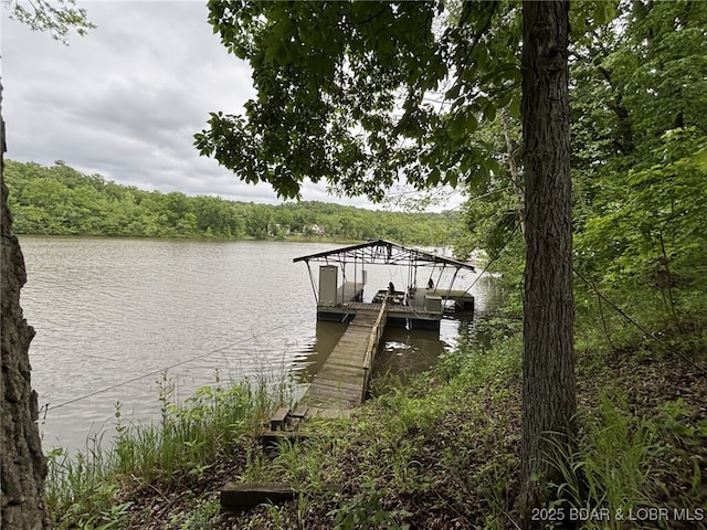 1265 Lick Creek Rd, Edwards, MO 65326 - dock with a water view and a forest view