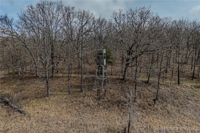 view of local wilderness