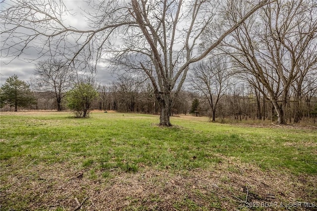 view of yard featuring a wooded view
