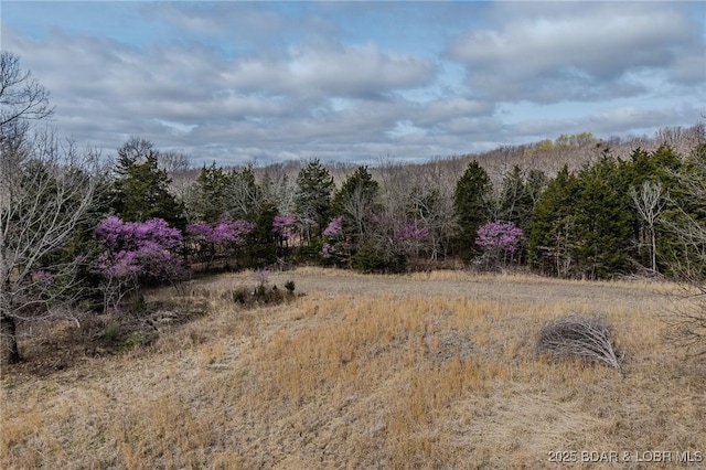 view of nature featuring a wooded view
