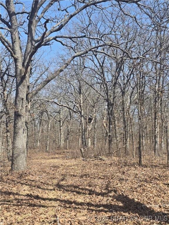 view of local wilderness featuring a forest view