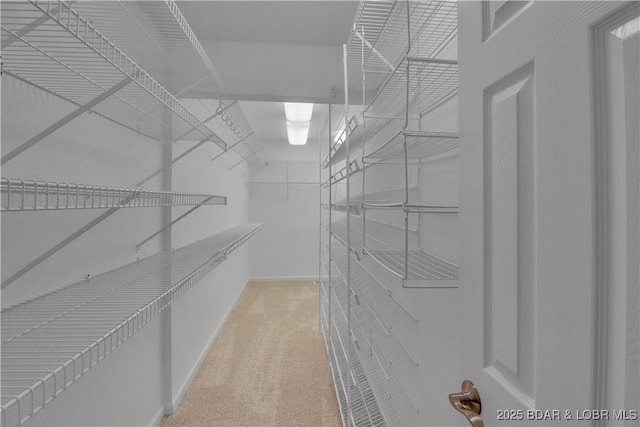 1293 Ginger Rd, Lake Ozark, MO 65049 - spacious closet featuring carpet floors