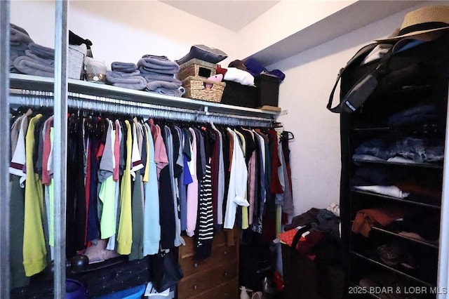 2500 Bay Point Ln Unit 135, Osage Beach, MO 65065 - view of walk in closet