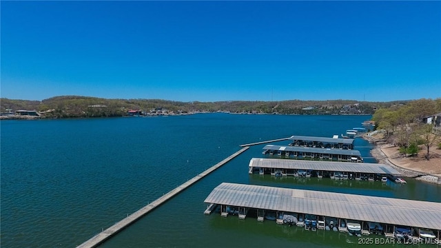 2500 Bay Point Ln Unit 135, Osage Beach, MO 65065 - dock area with a water view