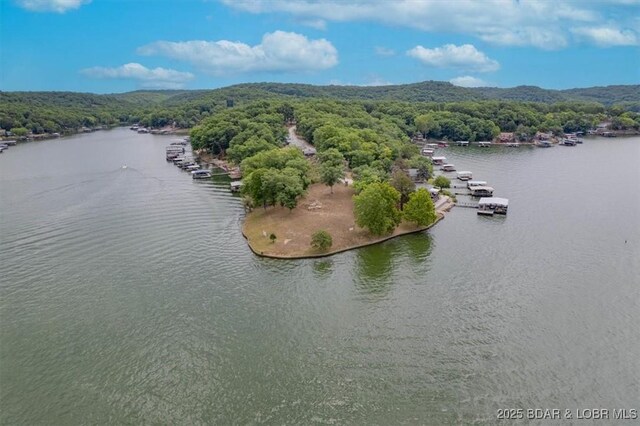 LotB Indian Park Lane, Sunrise Beach, MO 65079 - photo 8