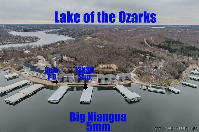 251 Vision Dr Unit 1D, Camdenton, MO 65020 - bird's eye view featuring a water view