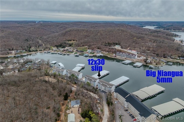 251 Vision Dr Unit 1D, Camdenton, MO 65020 - bird's eye view featuring a water view