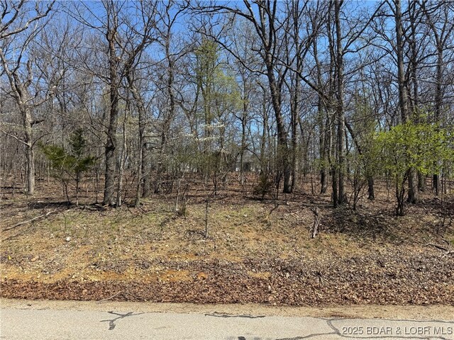 Grand Cove Rd, Porto Cima, MO 65079