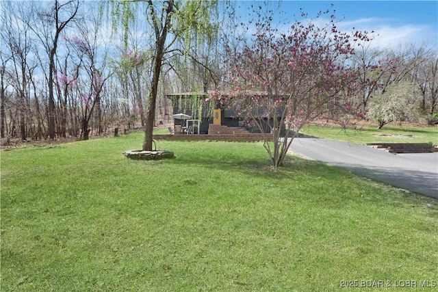 83 Archer Dr, Camdenton, MO 65020 - view of yard