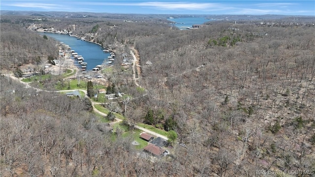 83 Archer Dr, Camdenton, MO 65020 - aerial view with a water view