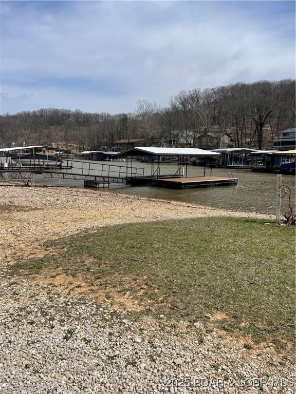 83 Archer Dr, Camdenton, MO 65020 - view of home's community featuring a floating dock