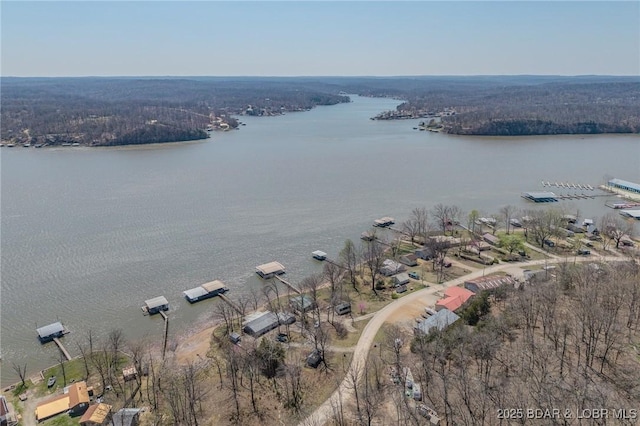 33724 Ivy Bnd, Stover, MO 65078 - birds eye view of property featuring a water view and a forest view