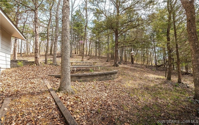 29829 Sheldy Dr, Rocky Mount, MO 65072 - view of yard