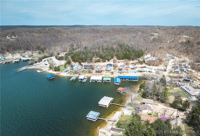 29829 Sheldy Dr, Rocky Mount, MO 65072 - birds eye view of property featuring a water view