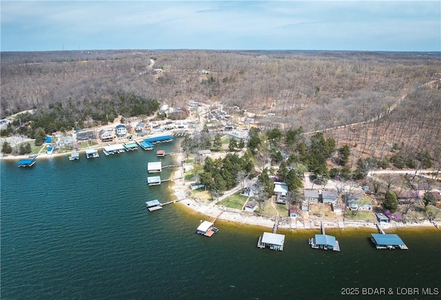 29829 Sheldy Dr, Rocky Mount, MO 65072 - aerial view featuring a water view