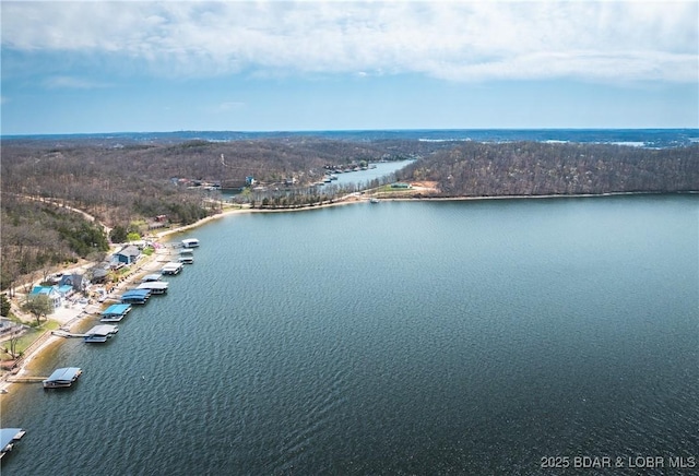 29829 Sheldy Dr, Rocky Mount, MO 65072 - aerial view featuring a water view