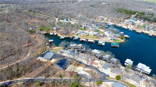 31372 Golden Wood Rd, Gravois Mills, MO 65037 - drone / aerial view featuring a water view