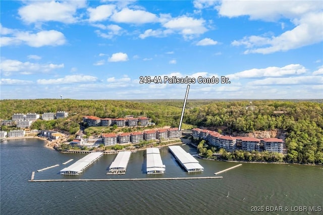 248 Palisades Condo Dr Unit 4A, Lake Ozark, MO 65049 - aerial view of a heavily wooded area and a large body of water