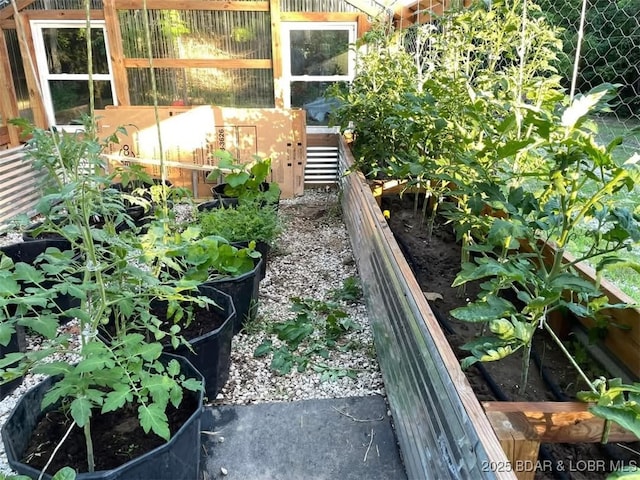 view of yard featuring a vegetable garden