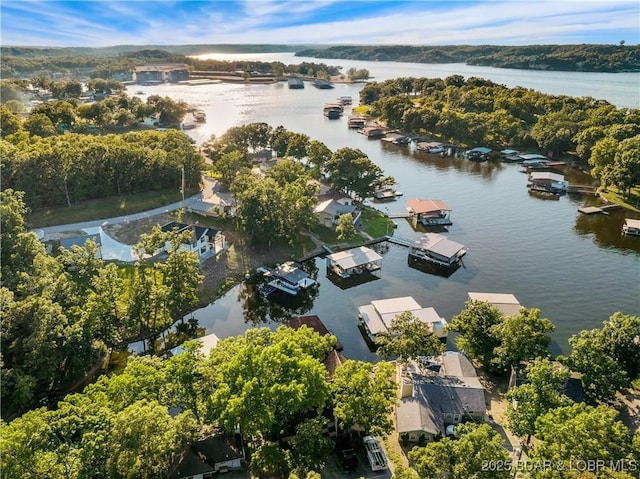 366 Flamingo Dr, Sunrise Beach, MO 65079 - photo 5