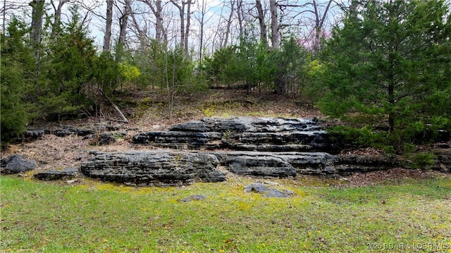 view of local wilderness