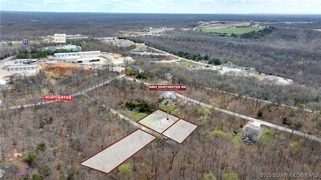 drone / aerial view