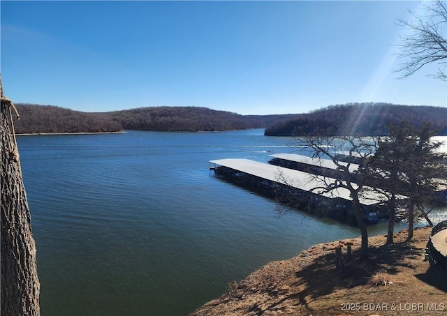 222 Park Place Ln Unit 2A, Kaiser, MO 65047 - water view