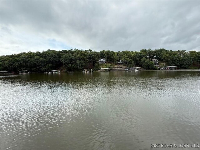 1505 Swiss Village Rd Unit A5, Osage Beach, MO 65065 - water view featuring a heavily wooded area