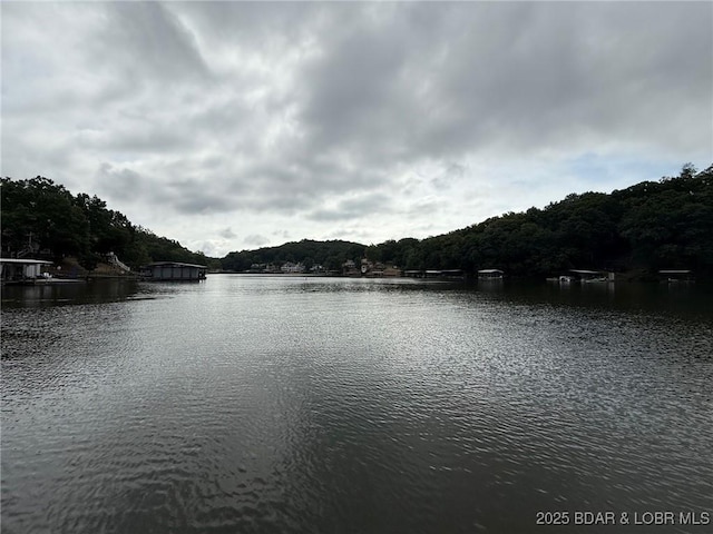 1505 Swiss Village Rd Unit A5, Osage Beach, MO 65065 - water view with a heavily wooded area