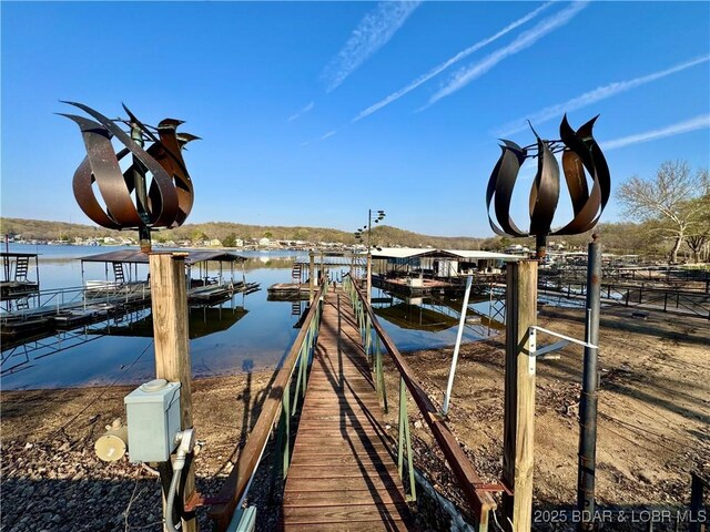 dock area with a water view