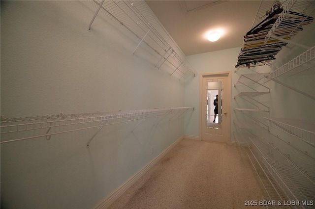 393 Crystal Springs Rd, Linn Creek, MO 65052 - view of spacious closet