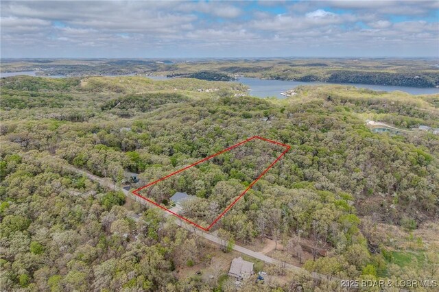 393 Crystal Springs Rd, Linn Creek, MO 65052 - aerial view of property's location with a large body of water and property boundaries highlighted