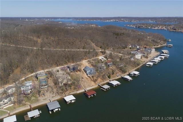 32785 Dixie Dr, Gravois Mills, MO 65037 - view of property location featuring a large body of water
