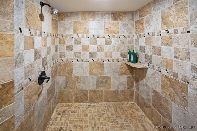 32785 Dixie Dr, Gravois Mills, MO 65037 - full bath with tiled shower