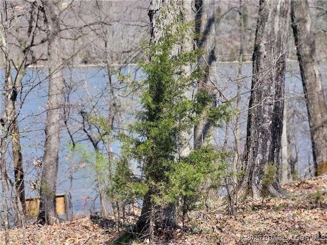 Emerald Hills Drive Phase 4A Lot 2, Edwards, MO 65326