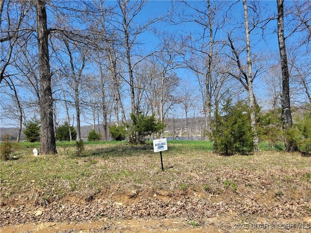 Emerald Hills Drive Phase 4A Lot 2, Edwards, MO 65326