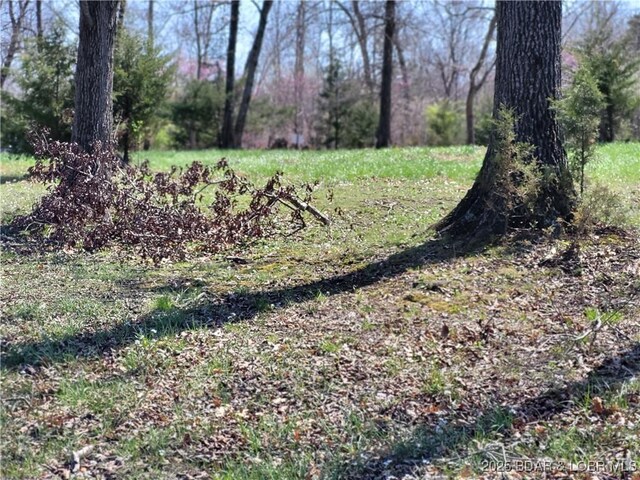 Emerald Hills Drive Phase 4A Lot 2, Edwards, MO 65326