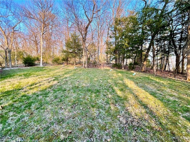 1148 Sweetwater Dr, Four Seasons, MO 65049 - view of yard