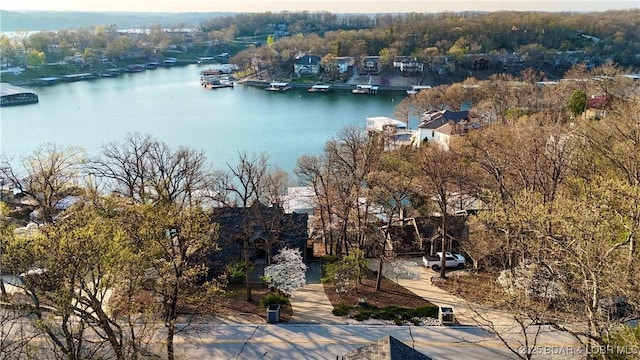 1148 Sweetwater Dr, Four Seasons, MO 65049 - aerial view with a water view