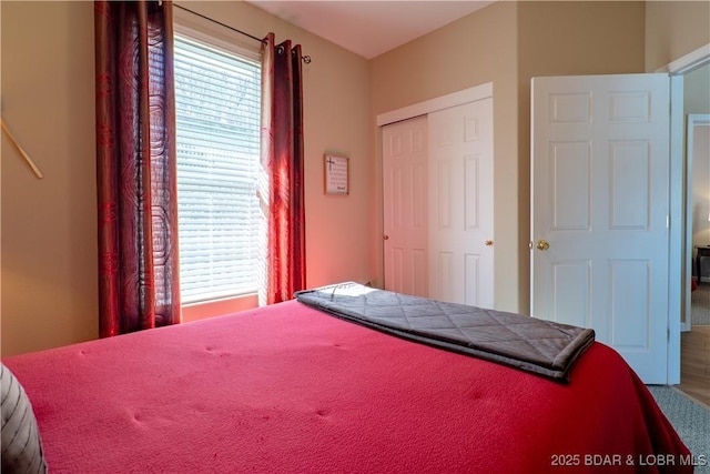 275 Flynn Rd Unit 205, Lake Ozark, MO 65049 - bedroom featuring a closet and multiple windows