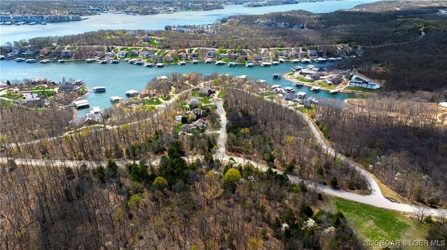 LOT437 Eastwood Ct, Sunrise Beach, MO 65079 - photo 22