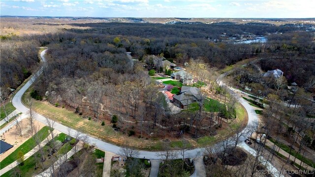 LOT437 Eastwood Ct, Sunrise Beach, MO 65079 - photo 40