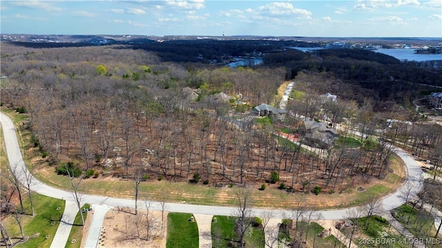 LOT437 Eastwood Ct, Sunrise Beach, MO 65079 - photo 42