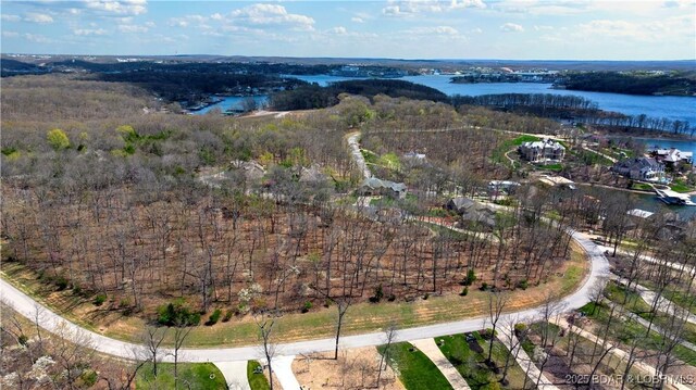 LOT437 Eastwood Ct, Sunrise Beach, MO 65079 - photo 45