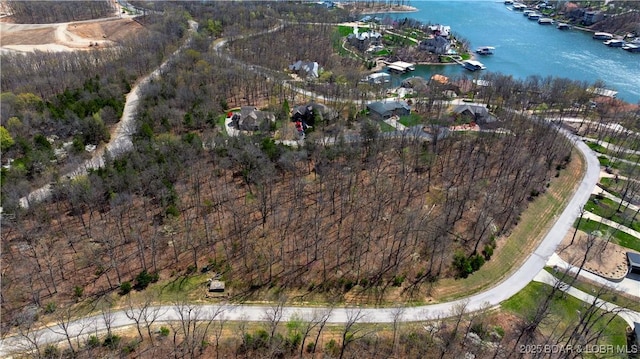 LOT437 Eastwood Ct, Sunrise Beach, MO 65079 - photo 49