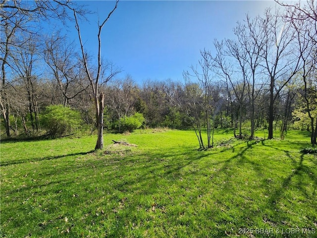 view of yard featuring a view of trees