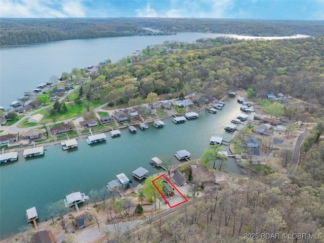 birds eye view of property featuring a view of trees and a water view