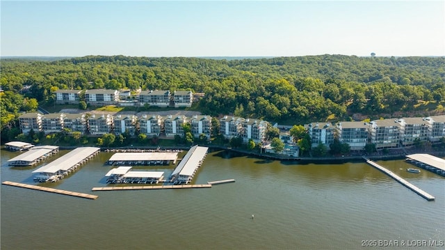 drone / aerial view with a water view and a view of trees