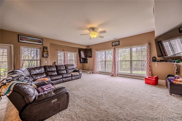 46 Deer Ridge Dr, Linn Creek, MO 65052 - photo 22